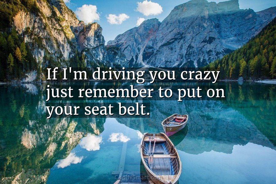 Quote If Im Driving You Crazy Just Remember To Put On Your Seat