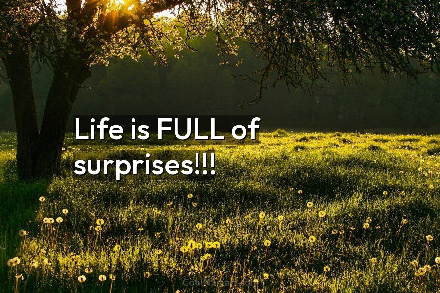 Quote Life Is FULL Of Surprises CoolNSmart