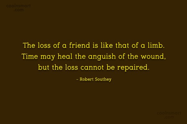 Quote The Loss Of A Friend Is Like That Of A Limb Time Coolnsmart