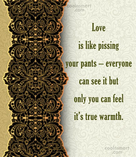 Quote Love is like pissing your pants pic