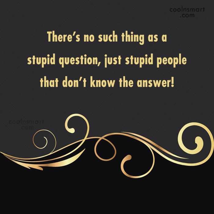 quote-there-s-no-such-thing-as-a-stupid-question-just-stupid-people