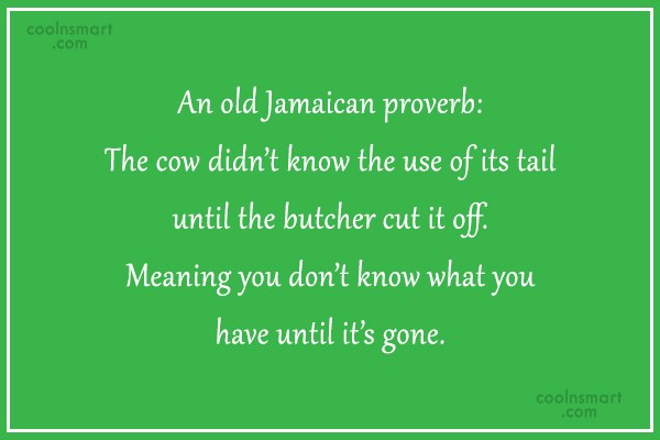 Quote An Old Jamaican Proverb The Cow Didn T Know The Use Of Its Coolnsmart