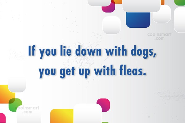Quote: If you lie down with dogs, you get up with fleas. - CoolNSmart