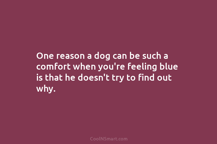 One reason a dog can be such a comfort when you’re feeling blue is that...