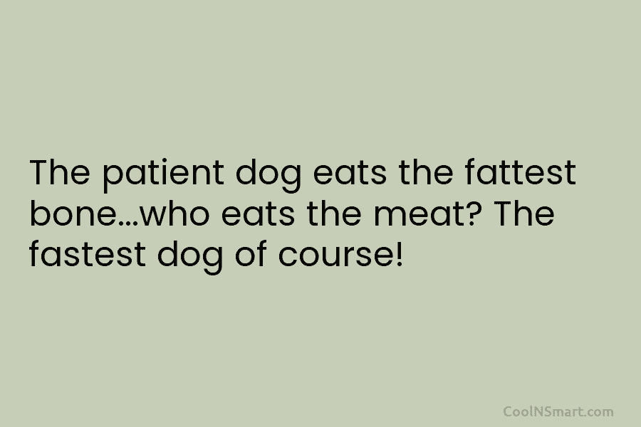 essay on the patient dog eat the fattest bone
