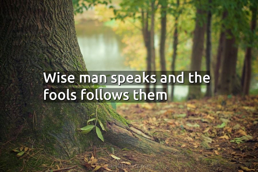 Quote: Wise man speaks and the fools follows them - CoolNSmart