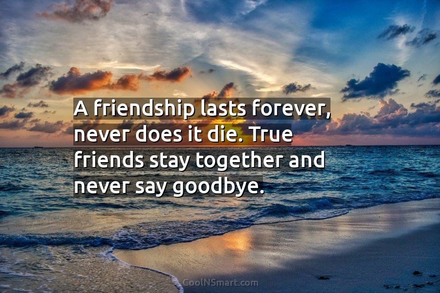 true friendship never ends friends are forever