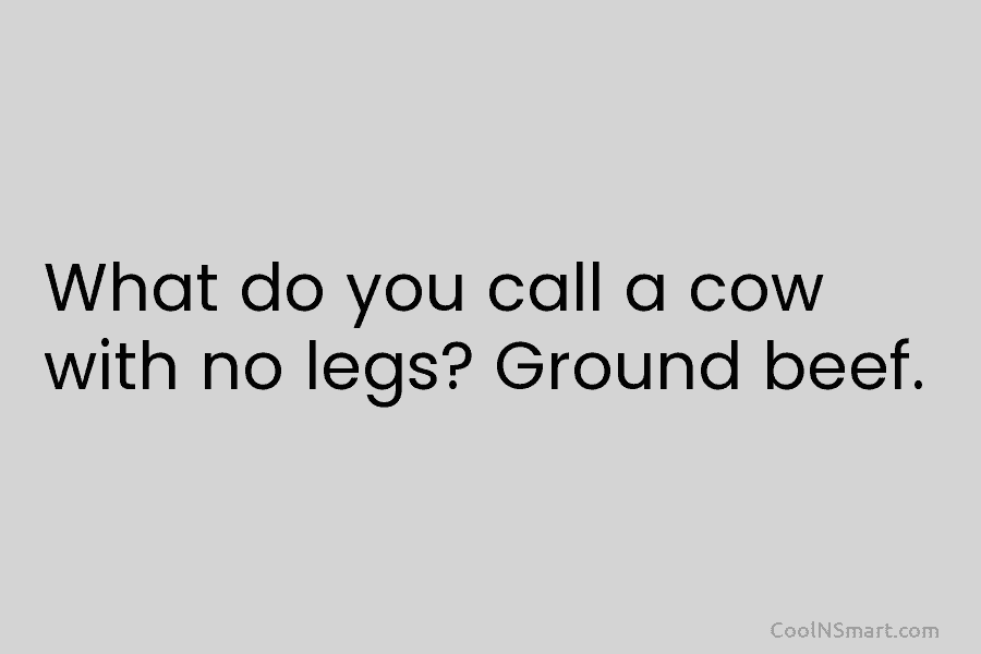 Quote: What do you call a cow with... - CoolNSmart