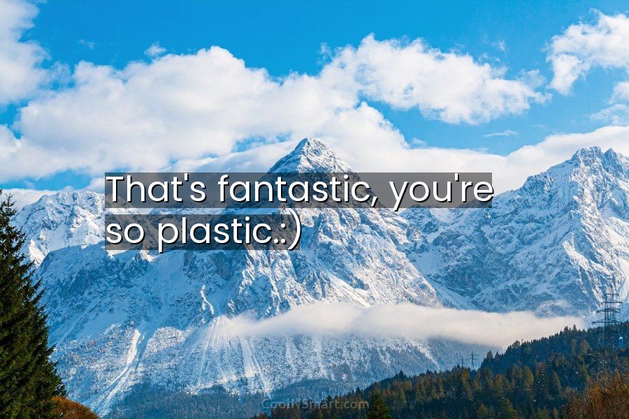 Quote: That’s fantastic, you’re so plastic.:) - CoolNSmart